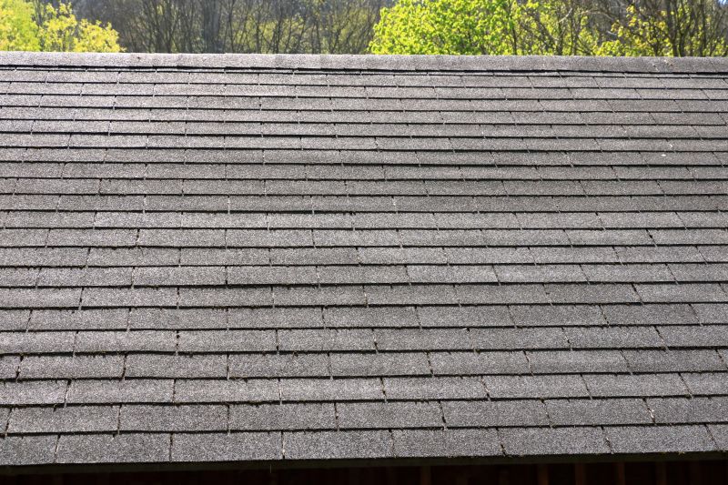 Slate Roof Services